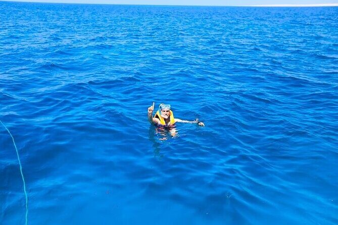 Conquest Semi Submarine and Snorkeling Sea Trip - Hurghada - The Sum Up