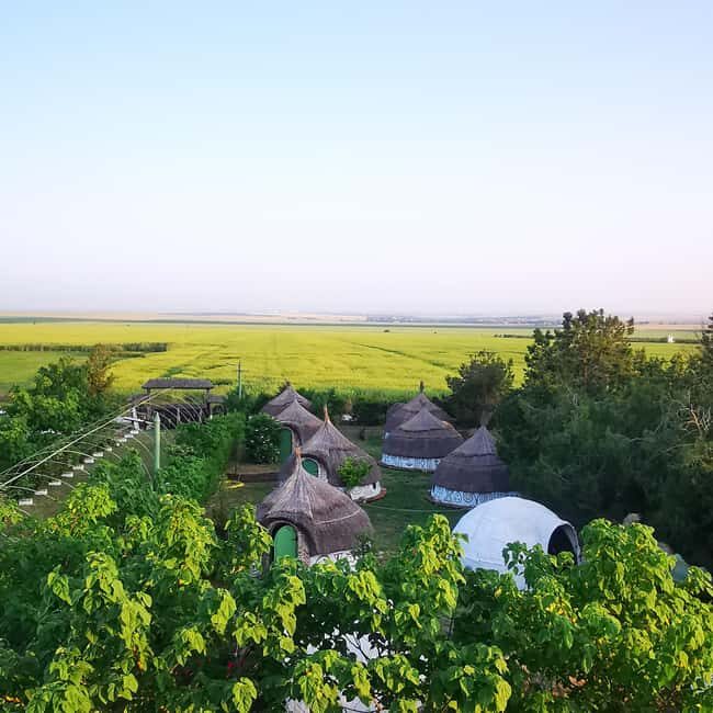 Constana: Ancient Histria Fortress and Local Wine Tasting - Constanta: Ancient Histria Fortress and Local Wine Tasting — A Practical, Authentic Escape