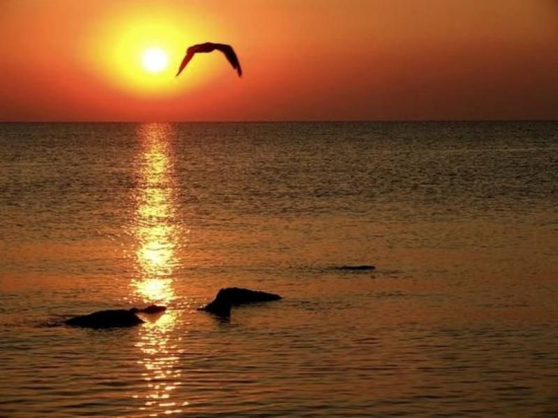 constanta-full-day-tour-from-bucharest-to-the-black-sea