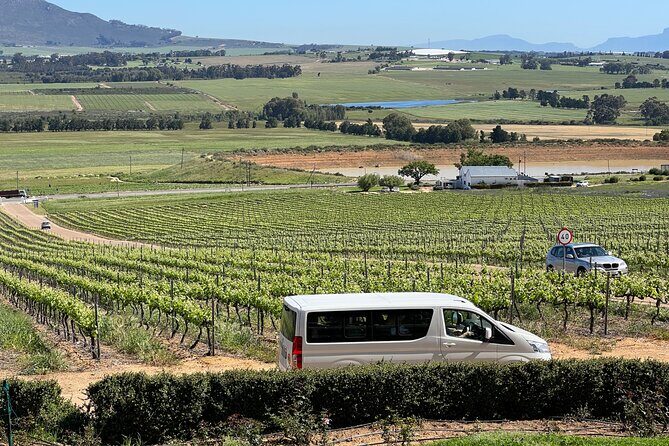 Constantia half day wine tasting tour - Final Thoughts