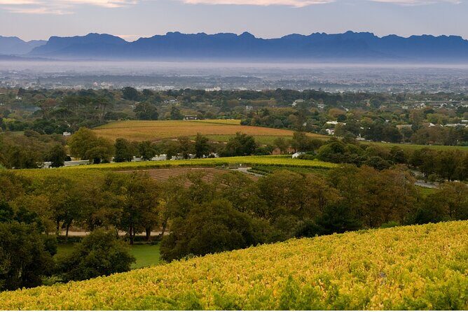 Constantia Hidden Gem Cycle Full Day - Private Tour - The Sum Up: Is This Tour for You?