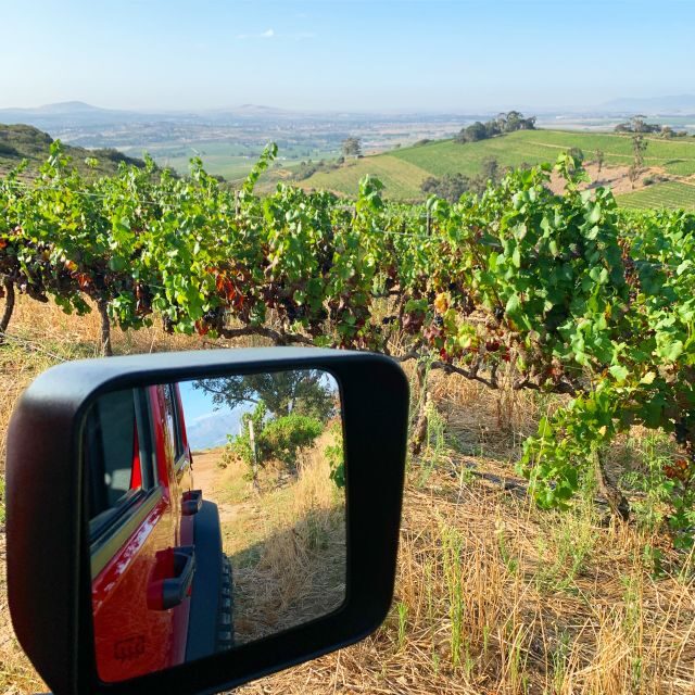 Constantia: Wine Tour - Award Winning Jeep Tours Cape Town - An In-Depth Look at the Constantia Wine Tour