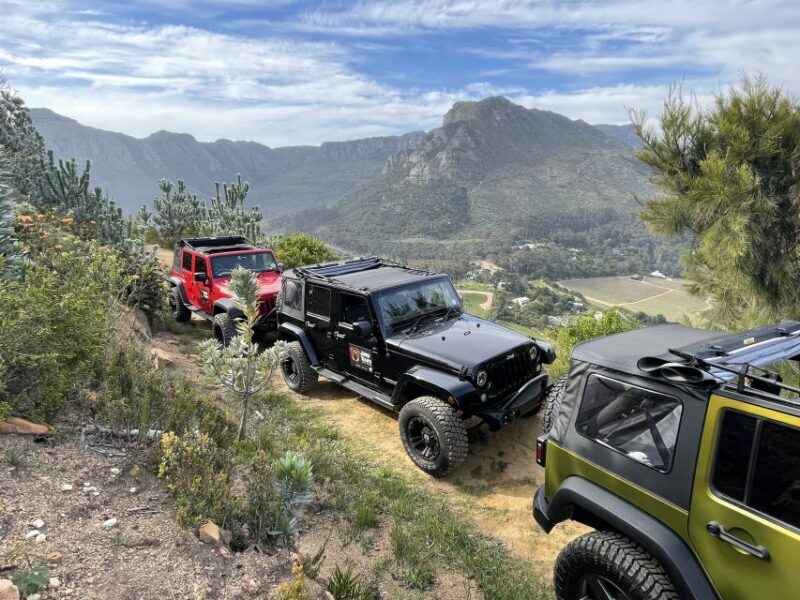 Constantia: Wine Tour - Award Winning Jeep Tours Cape Town - Analyzing the Value