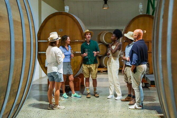 Constantia Wine Walk Storytelling Vineyard Tour with Lunch - Authentic Insights from Reviewers