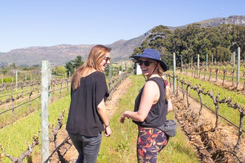 Constantia: Wine Walk with Lunch and Enchanting Stories - Key Points
