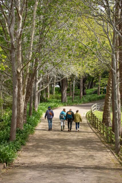 Constantia: Wine Walk with Lunch and Enchanting Stories - FAQ