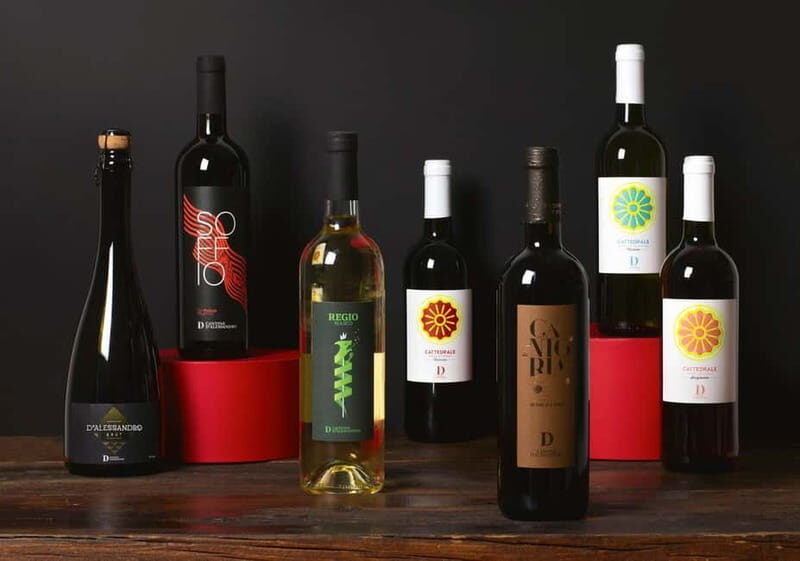 Conversano: wine tasting tour in the winery - Exploring the Wine Tasting Tour at DAlessandro Winery in Conversano