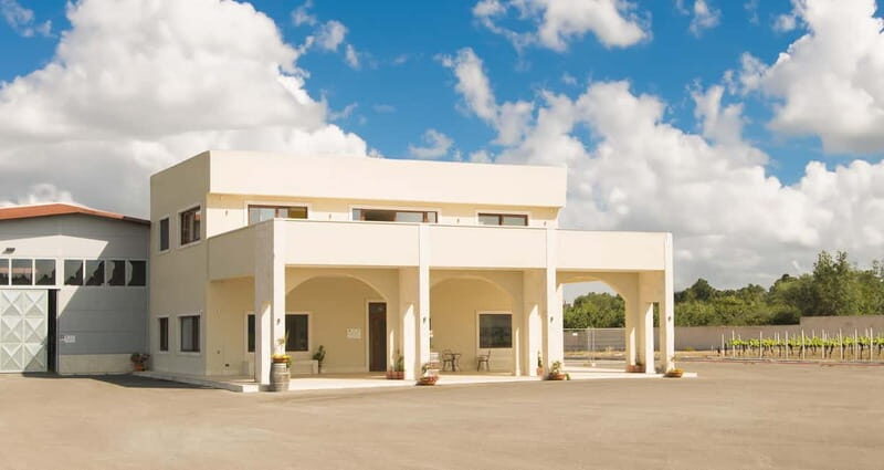 Conversano: wine tasting tour in the winery - Whats the Value?