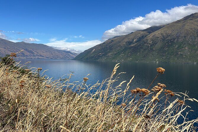 Convertible Picnic Tour Queenstown - Key Points