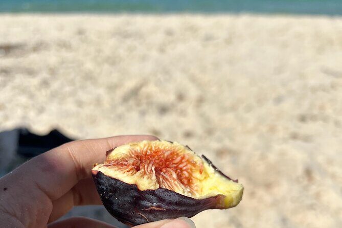 Cook and Connect: Tunisian Culinary Adventure with a Local Family - Final Thoughts: Is This Tour Right for You?  