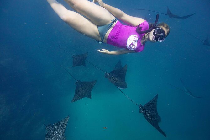 Cook Islands Turtle and Ray Tour - Who Will Love This Tour?