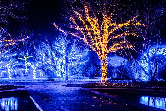 cookeville-christmas-lights-luxury-tour-in-the-roadstallion