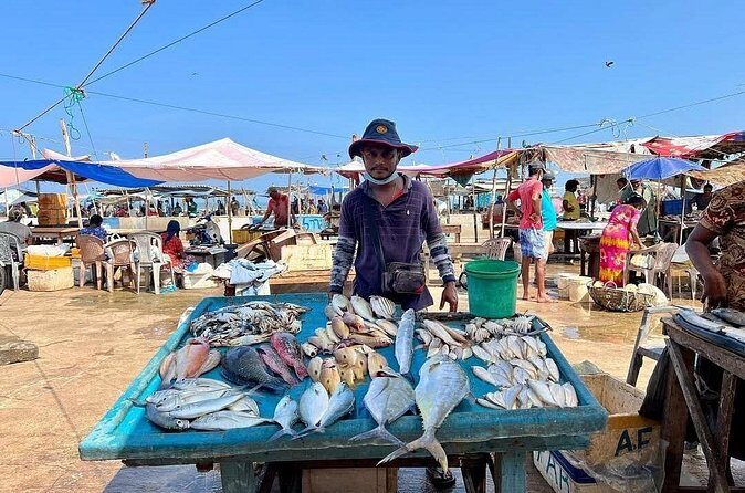 Cooking Class and Market Visit in Negombo - Why We Love This Tour