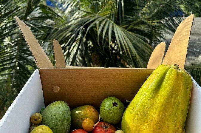 Cooking Class and Market Visit in Negombo - FAQ