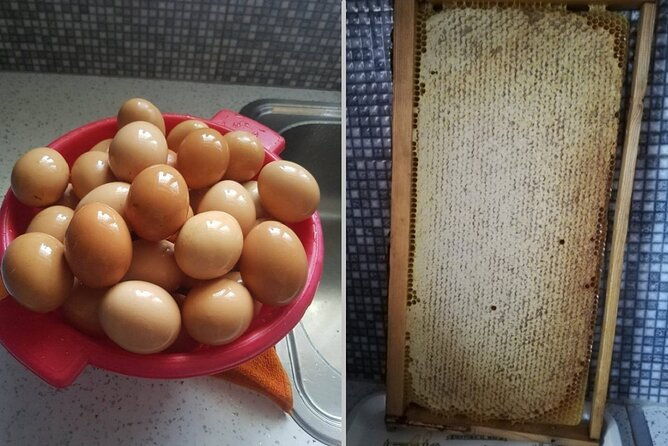 cooking-class-at-alexandras-farm-in-ypati-thermal-springs