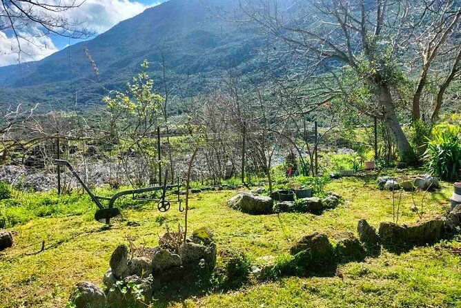 cooking-class-at-alexandras-farm-in-ypati-thermal-springs