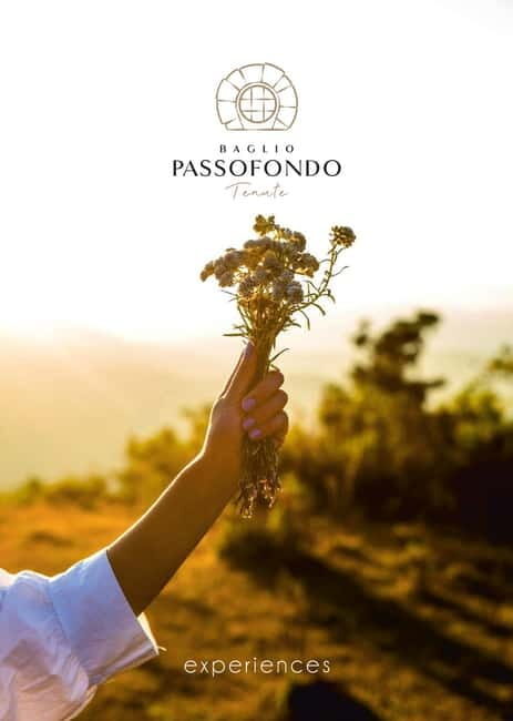 Cooking class: Cooking Sicilian dishes - Who Will Love This Experience?