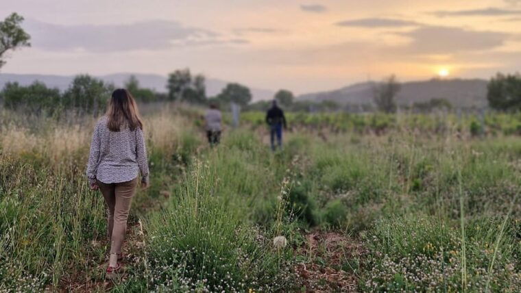 cooking-class-dinner-field-tour-in-a-unesco-family-field