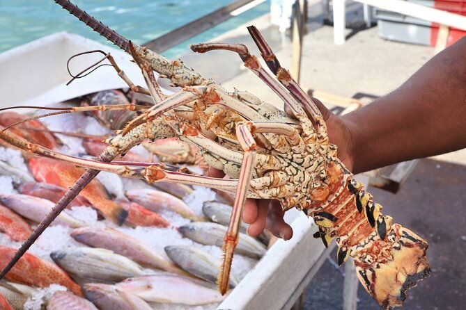 cooking-class-grilled-lobster-fish-with-lunch-included