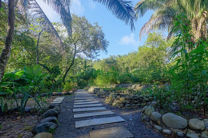 cooking-class-in-manuel-antonio-with-medicinal-plants-garden-visit