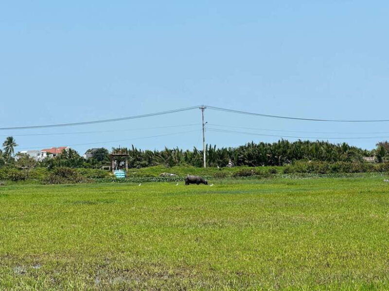 cooking-class-in-tra-que-village-and-lantern-making