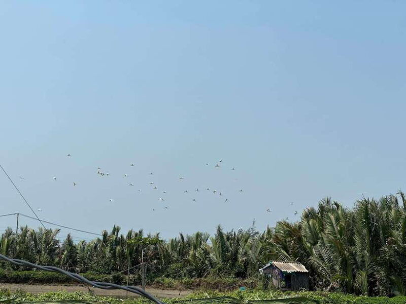 cooking-class-in-tra-que-village-and-lantern-making