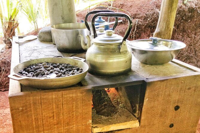 cooking-class-medicinal-plants-garden-manuel-antonio