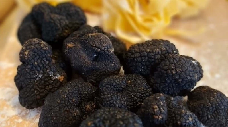 Cooking class of Spoleto recipes, with Chef Stefano - A Closer Look at the Experience  