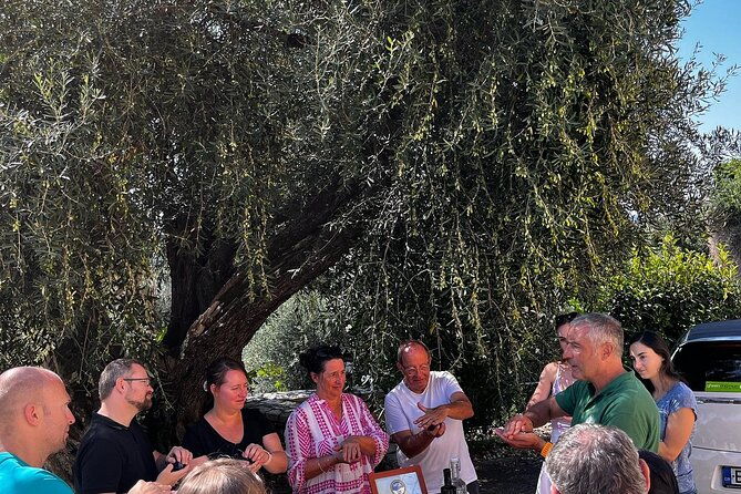 cooking-classes-and-olive-oil-tasting-the-real-taste-of-greece
