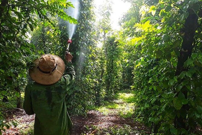 Cooking, Farming and Waterfall In Vietnam Countryside - Key Points