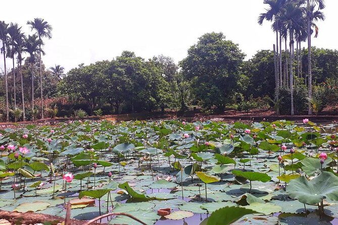 Cooking, Farming and Waterfall In Vietnam Countryside - The Itinerary in Detail