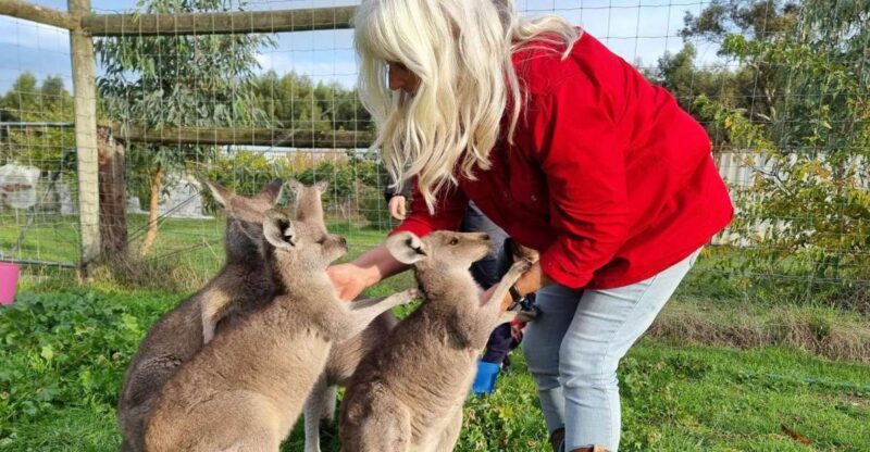 Coonawarra: Caves, Cabernet, & Kangaroos Day Tour & Lunch - Regional Cuisine and Gourmet Lunch