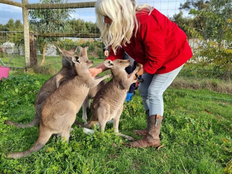 Coonawarra: Caves, Cabernet, & Kangaroos Day Tour & Lunch - Gin Tasting at Parker Estate