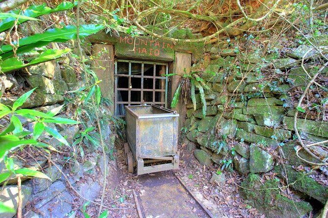 Copeland Tops National Park: Mountain Maid Gold Mine Tour - Key Points  