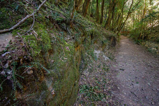 Copeland Tops National Park: Mountain Maid Gold Mine Tour - Who Will Love This Tour?  