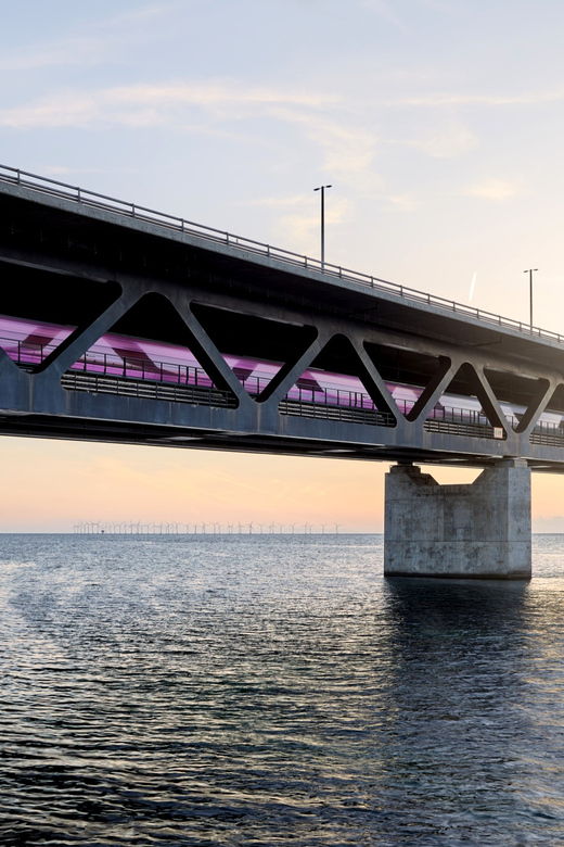 copenhagen-full-day-trip-to-malmo-with-swedish-lunch