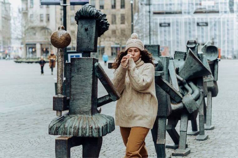 copenhagen-full-day-trip-to-malmo-with-swedish-lunch