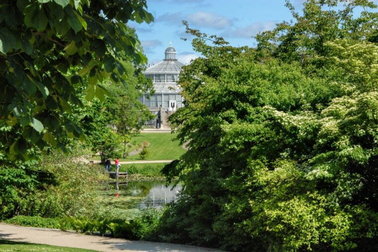 copenhagen-guided-culinary-walking-tour-with-food-tastings