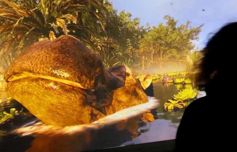 Copenhagen: Hologram Zoo Africa Adventure 40 minut - Key Points
