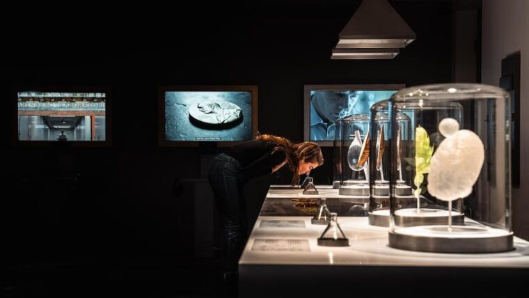 copenhagen-home-of-carlsberg-experience-entry-ticket