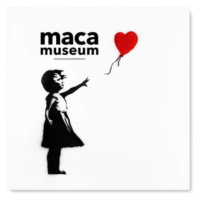Copenhagen: MACA Art Museum Entry Ticket - Key Points