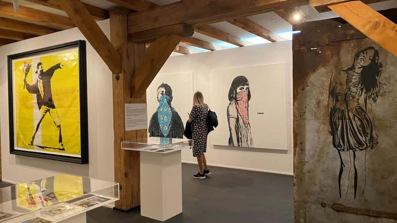 Copenhagen: MACA Art Museum Entry Ticket - What to Expect at the Museum
