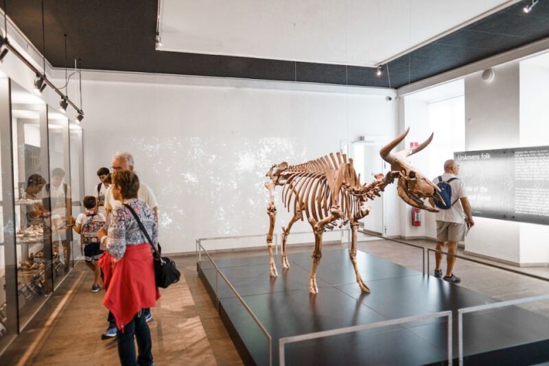 Copenhagen: National Museum of Denmark Entry Ticket - Key Points