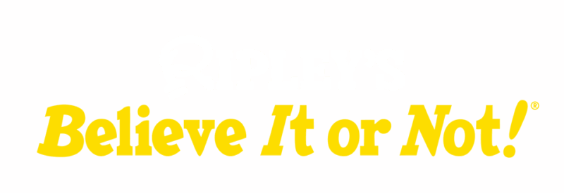 copenhagen-ripleys-believe-it-or-not-4-way-combo-ticket