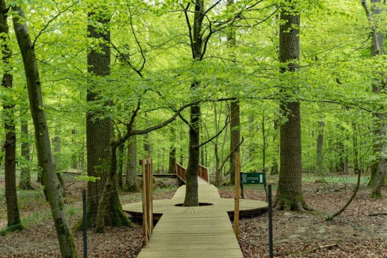copenhagen-the-forest-tower-forgotten-giants-trolls-trip