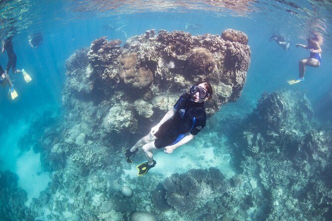 Coral Bay 2-Hour Coral Viewing and Snorkeling - Who Will Love this Tour?