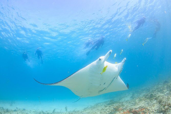 Coral Bay 2-Hour Coral Viewing and Snorkeling - FAQs