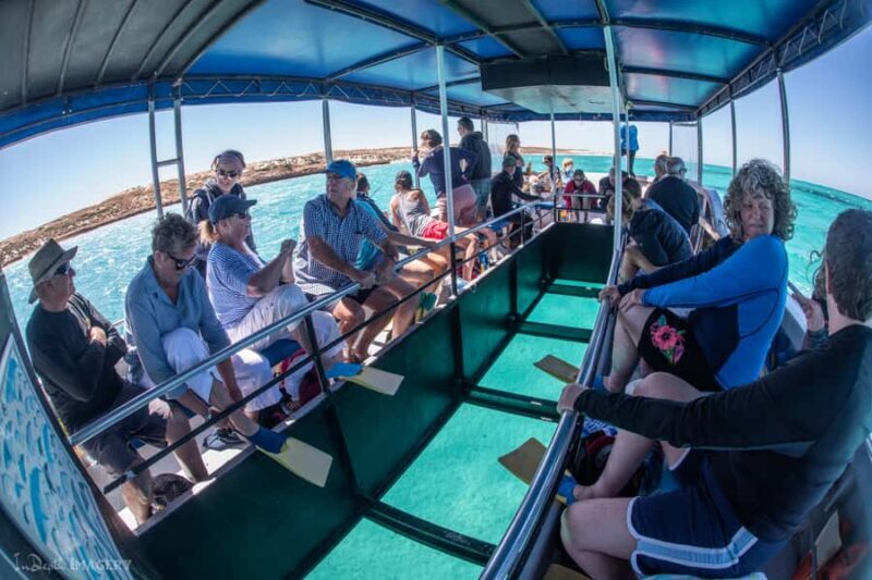 Coral Bay: 2-Hour Coral Viewing and Snorkeling - Setting the Scene: What the Tour Offers