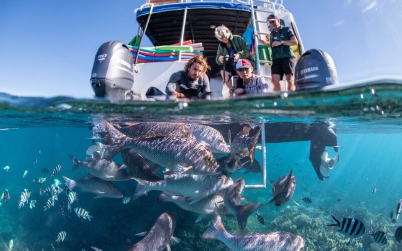 Coral Bay: 2-Hour Coral Viewing and Snorkeling - What You Can Expect During the Tour