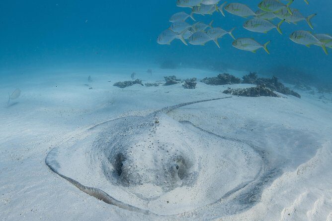 Coral Bay 3-Hour Turtle Ecotour - FAQ